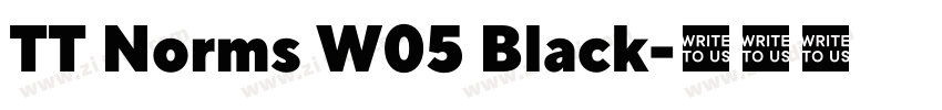 TT Norms W05 Black字体转换 TT Norms W05 Black字体转换
